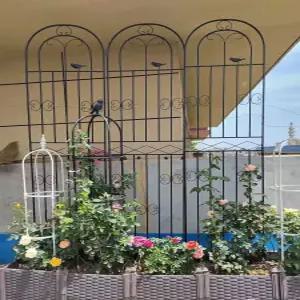 철제 장미울타리 덩굴 꽃밭 지지대 식물 터널