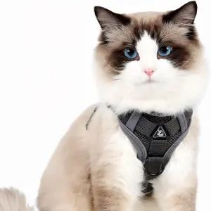 고양이용 보행용 하네스 및 목줄 탈출 방지 소프트 조절 가능한 조끼
