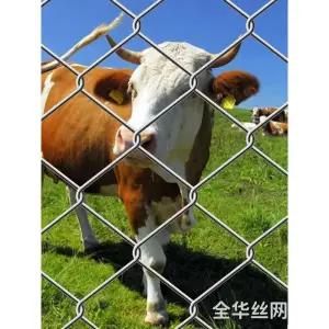 고라니 철망 파티션 보호 닭장 메쉬 울타리 가림막 경계망