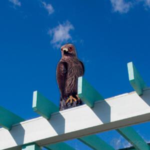 독수리 모형/유해조류 비둘기 퇴치 용품/쫓는법/아파트/베란다/에어콘 실외기/과수원