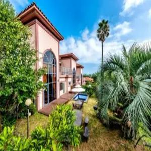 [제주 호텔] 팜밸리 리조트 (서귀포시,중문,모슬포)