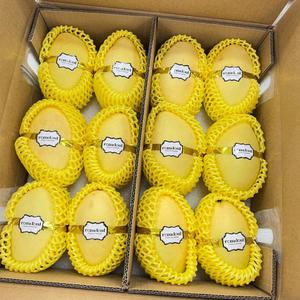 달콤한 캄보디아 골드망고 2.5kg 5kg