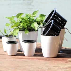 [핫트랙스]저면관수 화분 수경재배 자동급수 미니 라지킹 H394-O