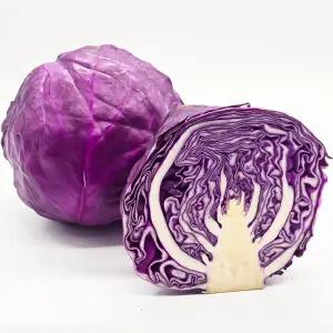 국내산 무농약 적양배추(적채) 2kg