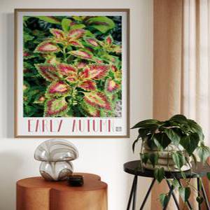 꽃 식물 플랜테리어 인테리어 테라픽 포스터 A4 사이즈 단품 카페 개업 이사 선물 호텔 장식