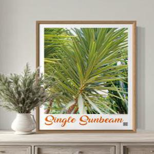 꽃 식물 플랜테리어 인테리어 테라픽 포스터 A2 사이즈 단품 카페 개업 이사 선물 호텔 장식