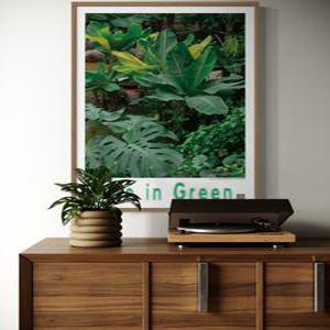 꽃 식물 플랜테리어 인테리어 테라픽 포스터 A1 사이즈 단품 카페 개업 이사 선물 호텔 장식