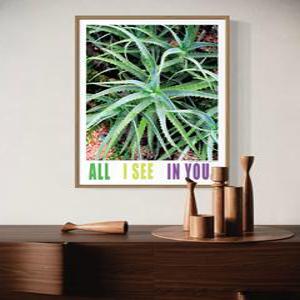 꽃 식물 플랜테리어 인테리어 테라픽 포스터 5x7 사이즈 단품 카페 개업 이사 선물 호텔 장식