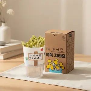 [오피스스쿨] 민화 KC인증 콩나물 키우기 키트 / 새싹키우기 씨앗키트 식목일 식물재배 환경 생태 교육 관찰