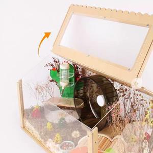 아크릴 및 나무 햄스터 케이지, 투명 보이는 애완 동물 먹이 조립, DIY 아쿠아 스케이프 상자, 크리핑