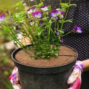 흙 날림 방지 덮개 흙 날림 방지 코코넛 커버 화분 식물 화분용