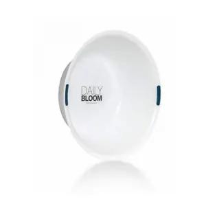 ( )EA 데일리 대야 대 욕실 세숫 세면 목 W