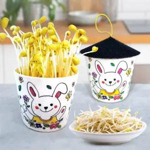 나만의 STS086H1 콩나물 키우기 화분 키트(5인묶음포장)