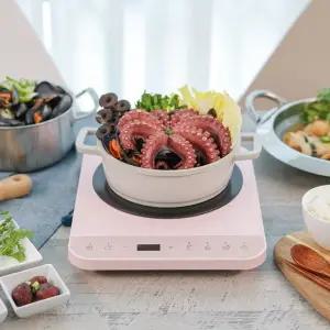 [ETV]키친아트 인덕션/1구/전기레인지 KI-P0900P/N