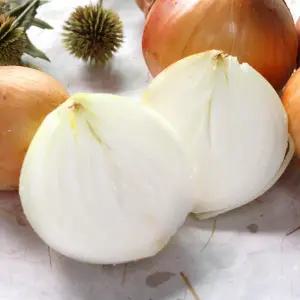 26년 햇양파 10kg(중/소 혼합)