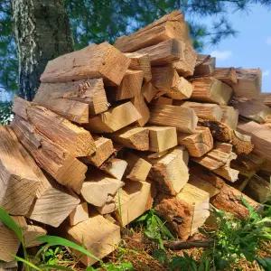 캠핑장작 참나무 불멍 바베큐 캠프파이어 장작 10kg