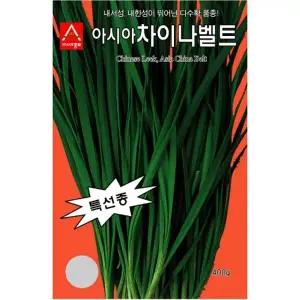 [아시아종묘/부추종자씨앗] 차이나벨트(450g-약50만립)