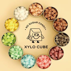 [자일로큐브]자일리톨 100% 무설탕 무가당 사탕 캔디 입덧 당뇨 금연 14가지 맛 자일로큐브