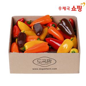 [우체국쇼핑] 도곡팜 미니파프리카 1.2kg(벌크포장)