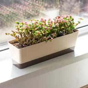 창가 화분 직사각 가로 긴 사각 직사각형 길쭉한 화분 다육이 가벼운