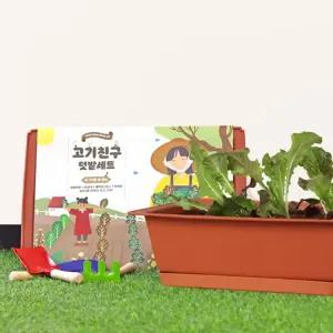 적겨자 상추 쌈채소 씨앗 흙 화분 베란다텃밭 세트/채소/키우기/가드닝/가정용/나만의/체험/야채/재미/텃밭