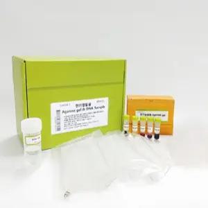 생물학 연구실 유전자 분석 아가로스겔 전기영동 재료 구성 고등 교육용 탐구 학습 도구