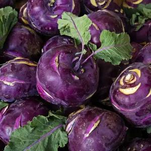 가정용 제주 콜라비 5kg 혼합과