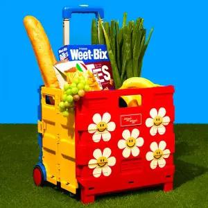 위글위글 장바구니 캐리어 접이식 폴딩카트 - Smile We Love 439631