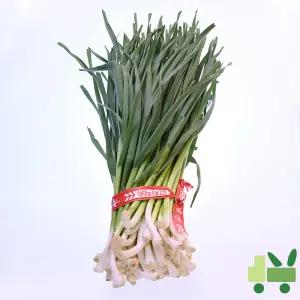 깐풋마늘 (10단) 10kg