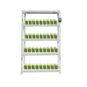 산소삽목기 수경 재배 삽목 나무 텃밭 삽목 식물 랙