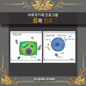 자유학기제 DZZ842L2 꿈과진로 세포 속엔 무엇이 동식물세포 자석세트