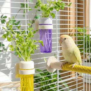 걸이식 앵무새 수경재배 식물 보존기 물 저장 그린스 보관 바구니 플라스틱 애완조 새 먹이통