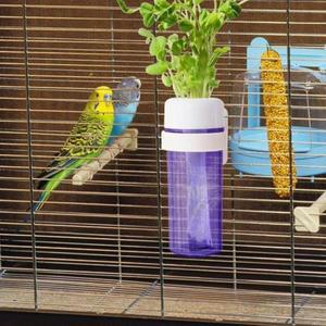 걸이형 앵무새 수경재배 식물 보존기  채소 유지 물 저장형 급수기 플라스틱