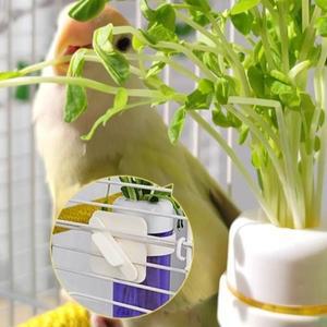 걸이형 앵무새 수경재배 식물 보존기 물 저장 용기  채소 유지 야채 급수기 플라스틱 애완조 새 먹이통
