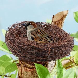 새장 모양 라탄 새 은신처 부활절 수제 DIY 공예품 덩굴  달걀 장식 소품  창문