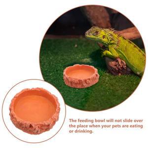 미끄럼 방지 파충류 사료 물통 레진 소재  급식기 테라리움 도마뱀 거북이 애완동물 용품