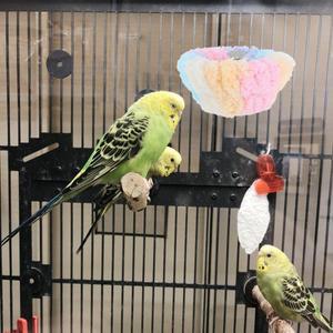 새장용 호환 새 은신처  침대 파라케트 콘유어 버디 콕카티엘 러브버드 핀치 소형 애완동물 아늑한