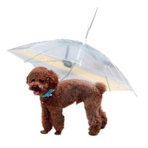 강아지 우산 비오는날 뽀송한 C형투명 판쵸 시바견 중대형견 시츄 목줄 산책냥 올인원
