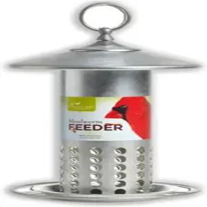 태평양 조류 및 공급 PB-0037 아연 도금 밀웜 피더 6.25인치 x 11.25인치 실버