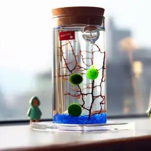 마리모 키우기 LED 유리병 테라리움 코르크병