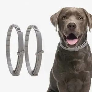 강아지 고양이 모기 벌레 제거 목걸이 해충방지