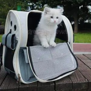 강아지산책가방 강아지기내가방 중형견백팩