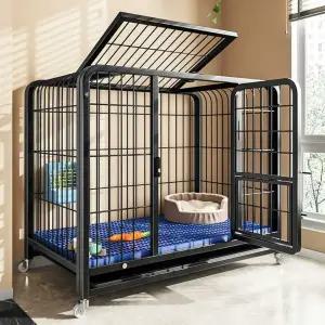 야외 사육장 대형토끼집 펜스 철장 애완용 노란색