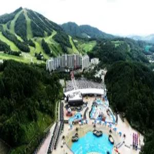 [강원 호텔] 웰리힐리파크 (홍천,횡성)