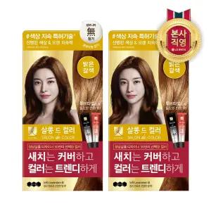 엘라스틴 살롱드컬러 염색약 밝은갈색 100G 2개