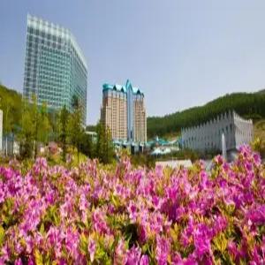 [강원 호텔] 하이원 그랜드 호텔 컨벤션타워 (영월,정선)