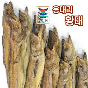 [청정설악] 용대리 통황태 특왕 10미 (마리당 49~51cm)