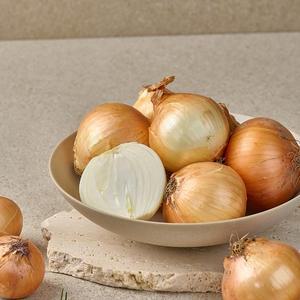 달큰한 국내산 햇양파 10kg 중