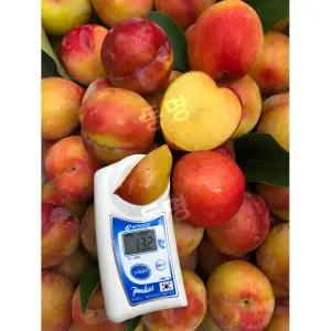 국내산 초고당도 도담 왕 자두 13 brix