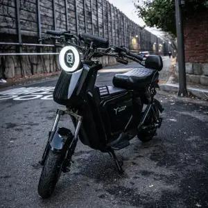 타이탄 전기 전동스쿠터 PTX1000 1500W 48V 25Ah 50Ah